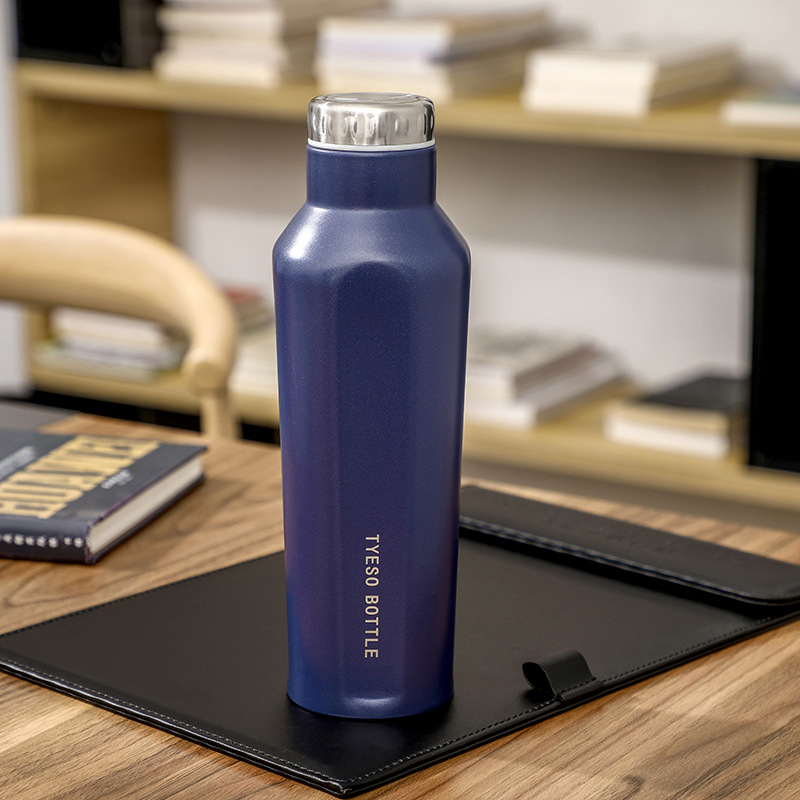 Stainless Steel Water Bottle