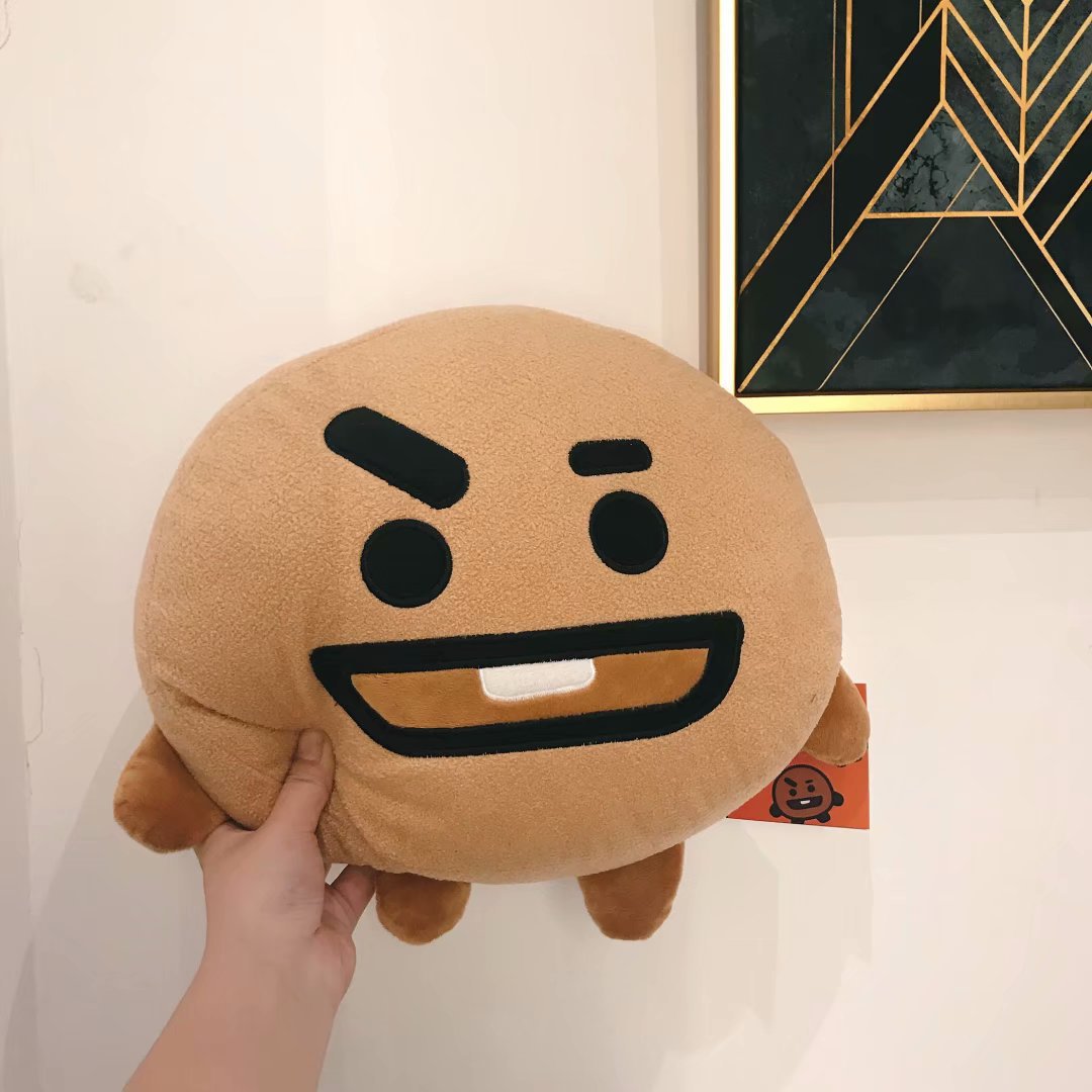 bt21 van plush doll