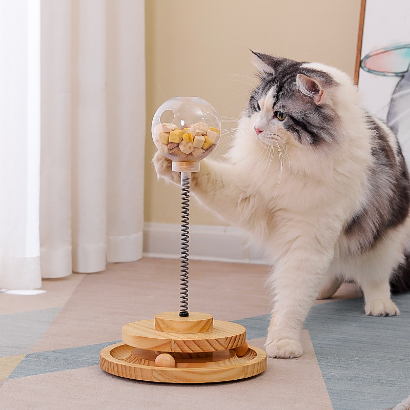 Cat Treats Dispenser Cat Treat Dispenser Toy Catnip Cat Toy Cat Nips