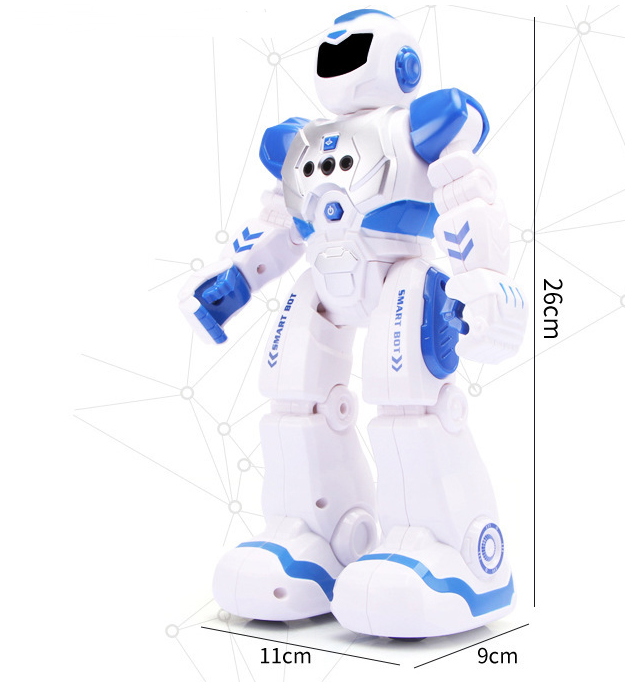 Remote Control Kid's Toy Intelligent Smart Programmable Robot | Dotflakes