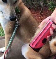 Pet Hair Removal Brush Hair Combing Device