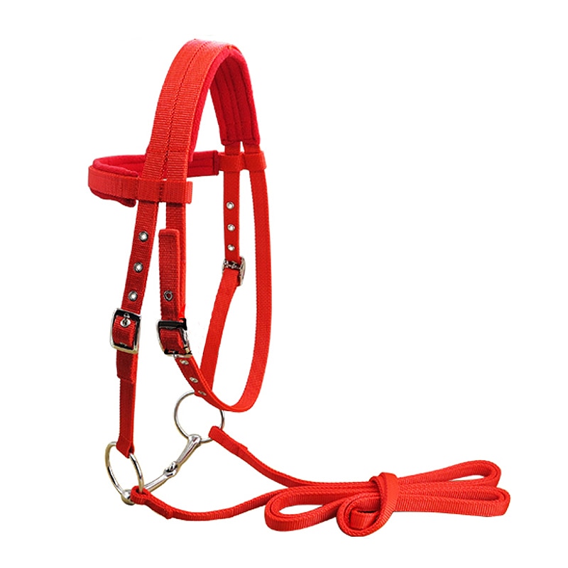 Reins horse bridle CJdropshipping