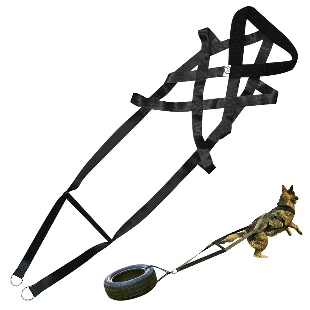 Dog training supplies Dog supplies Leashes Chest straps CJdropshipping