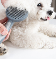 Pet Slicker Grooming Brush Comb For Cats Small Middle Sized Dogs Must Buy in Fur Shedding Season Easy Clean
