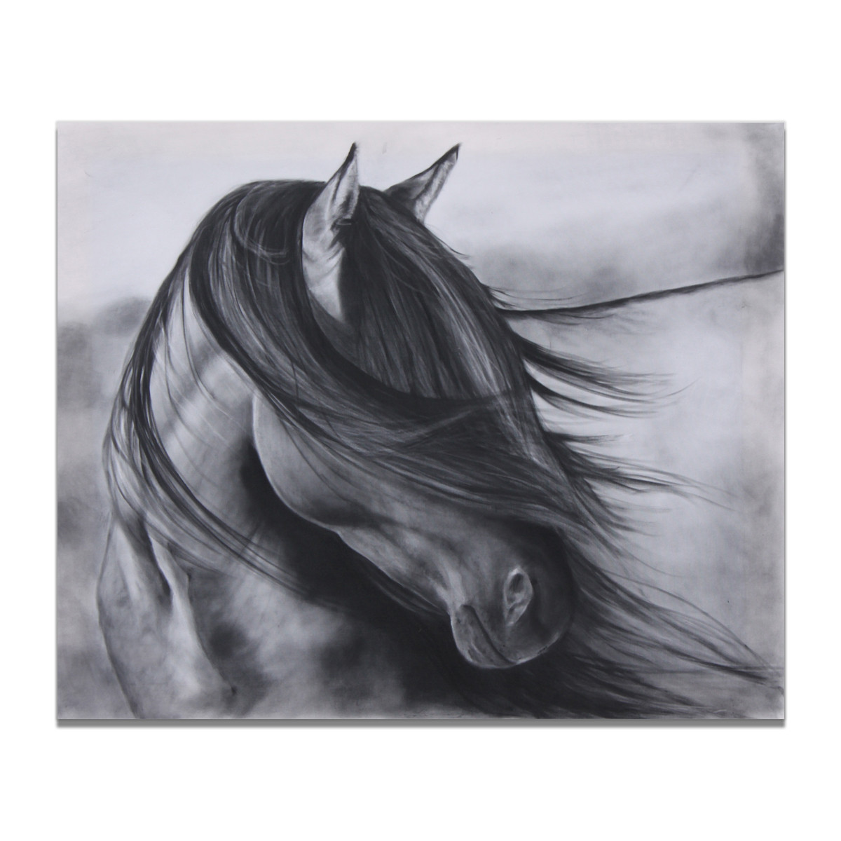 Nordic Decorative Painting Black And White Horses Horses Animal ...