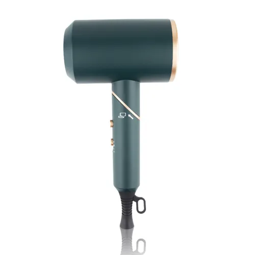 Color: Green Phnom Penh, power: EU - Electric Hair Dryer Gift Hair Salon Negative Ion