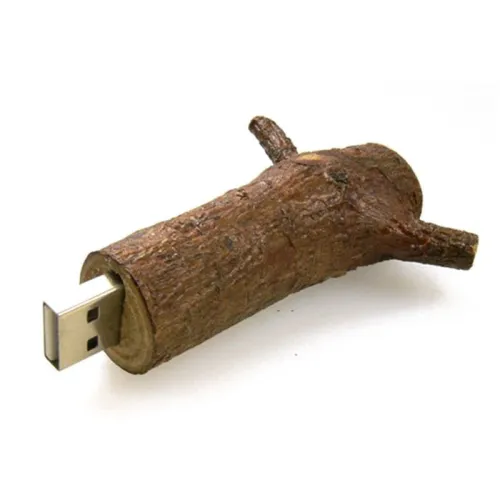 capacity: 16GB - Jaster - Usb Stick 4Gb, 8Gb, 16Gb, 32Gb, 64Gb, Natural Wood Model, Tree Branch, Novelty
