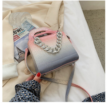 Hand-held Chain Bag Fashion Trendy  Pattern Dai Fei Bag Casual Simple Messenger Bag—1