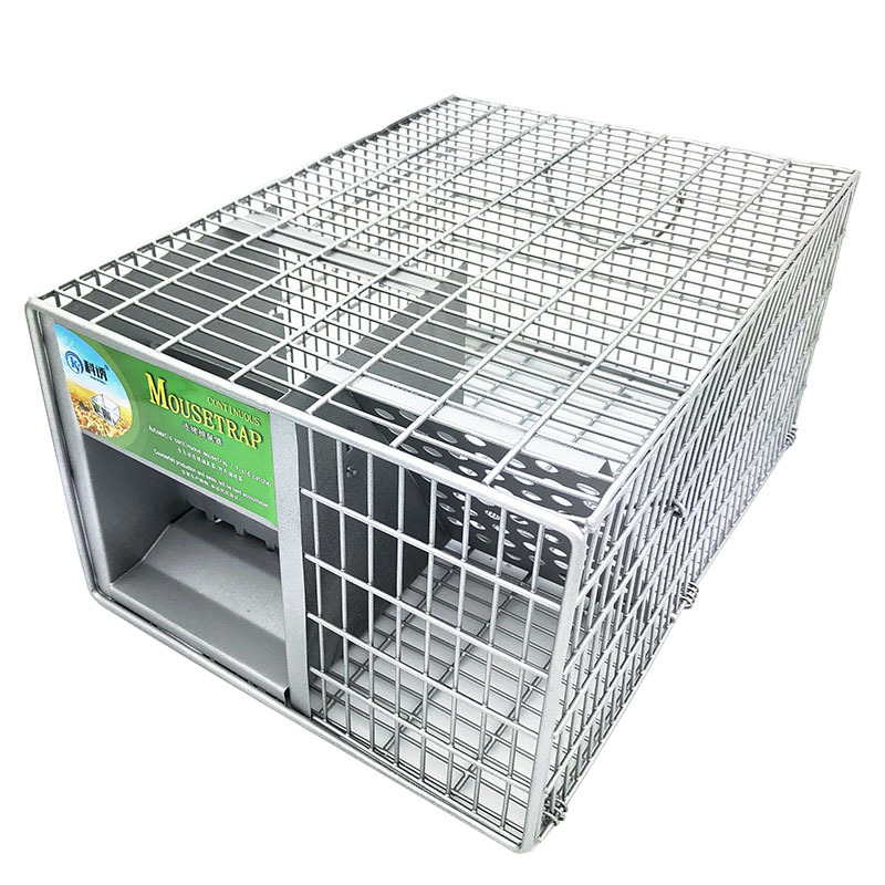 Iron Rodent Trap For Household Use CJdropshipping