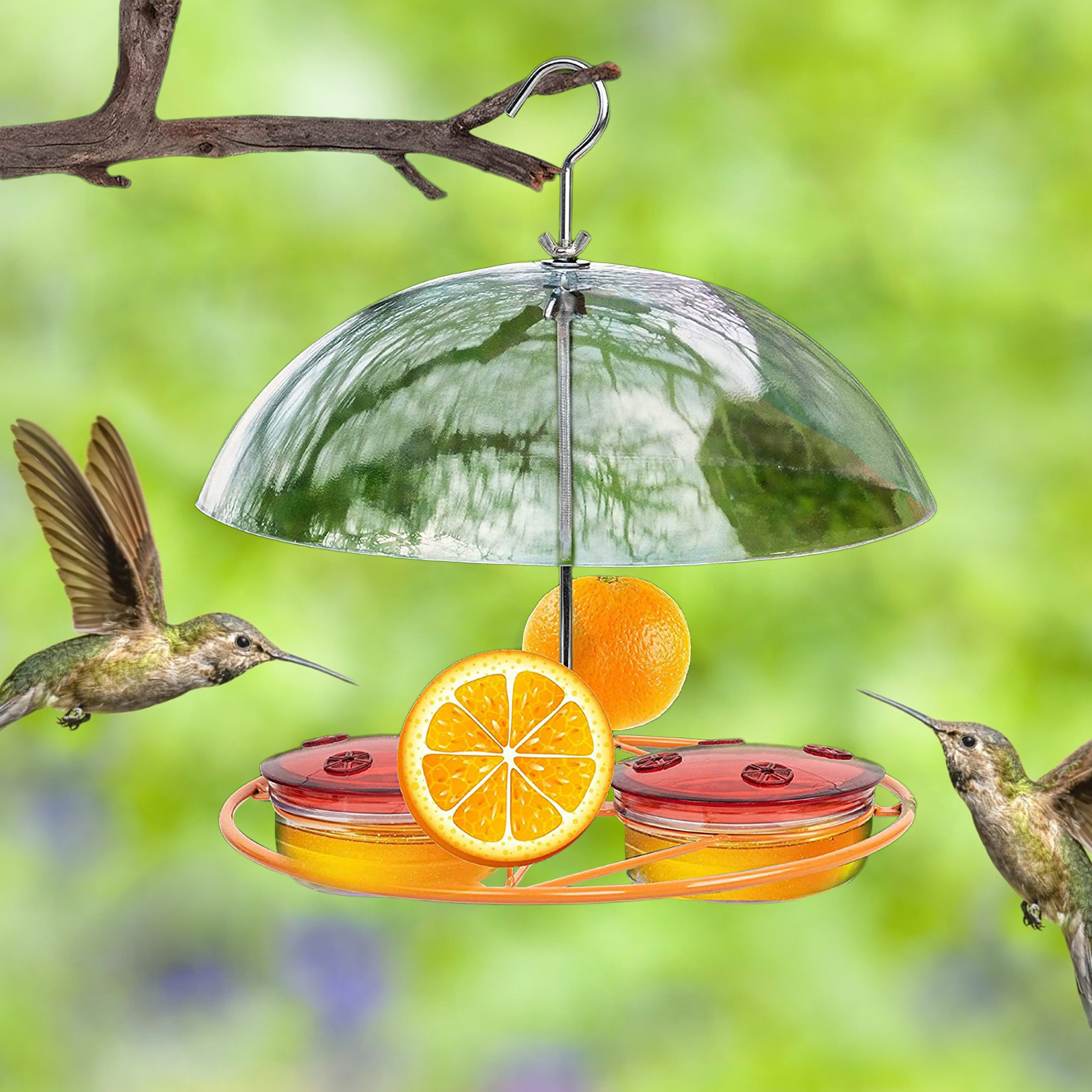 Rat-proof Metal Bird Feeder Outdoor Hanging Water Feeder - Cjdropshipping