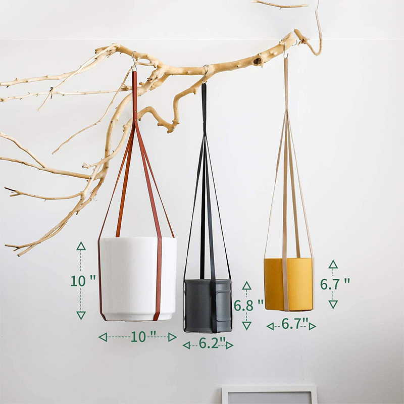 Hanging Plant Stand