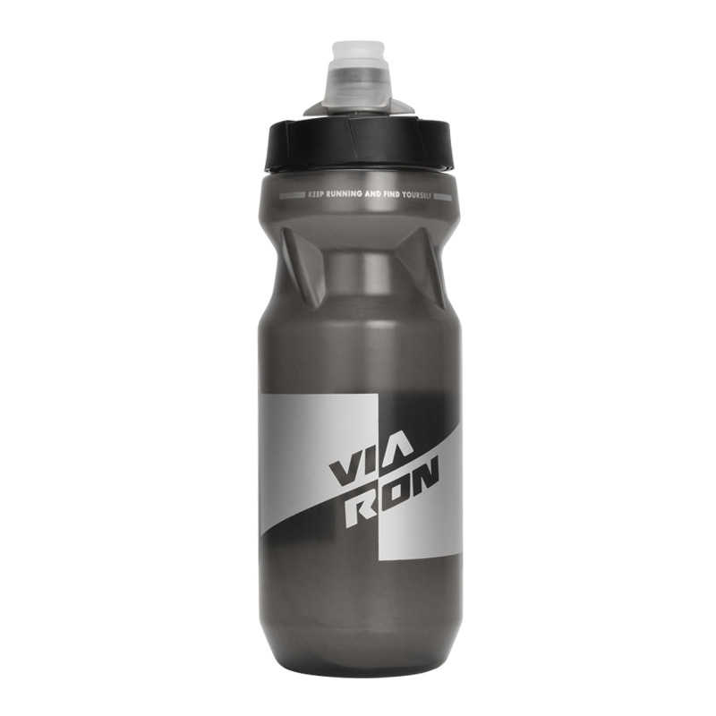 Insulated Water Bottle