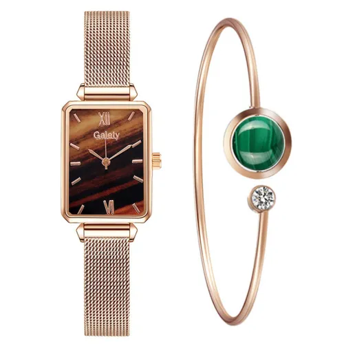 Color: Gold with brown noodles, style: With bracelet - Women's Alloy Mesh Belt All-Match Quartz Watch