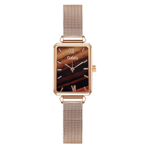 Color: Gold with brown noodles, style: Basics - Women's Alloy Mesh Belt All-Match Quartz Watch