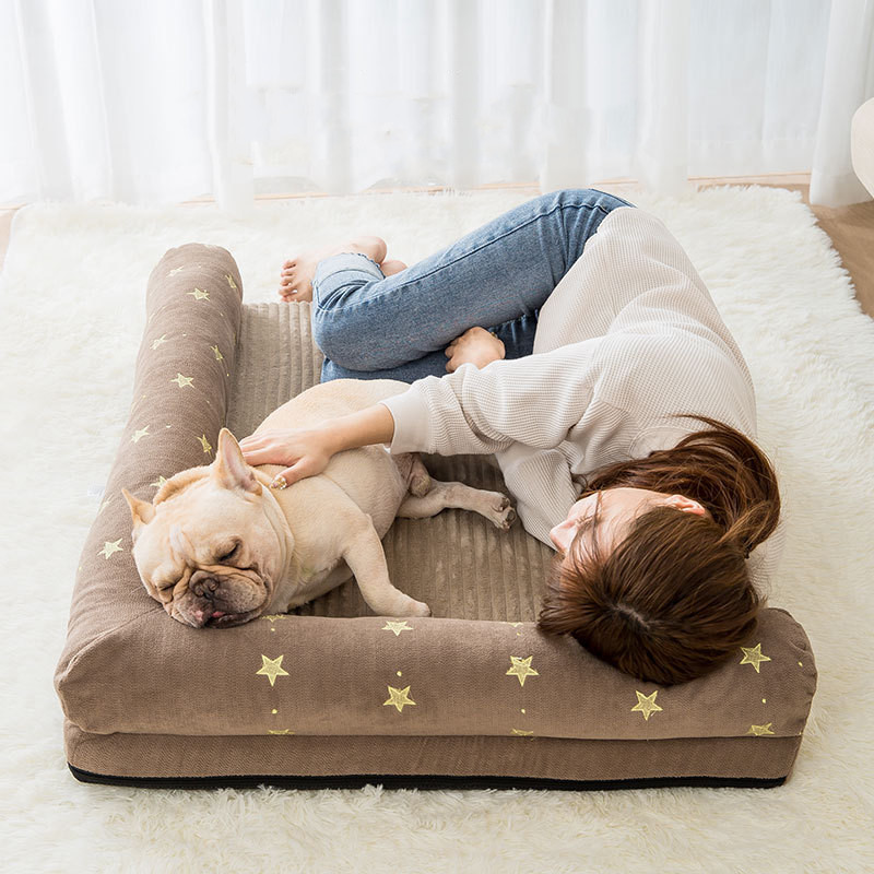 large dog bed