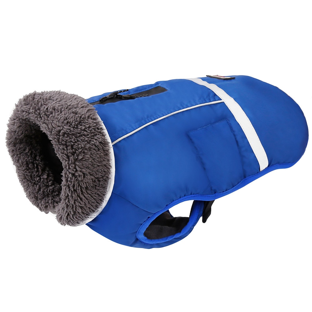 dog clothes winter (17)