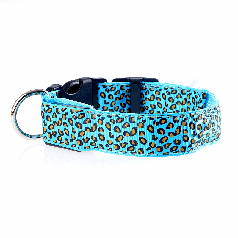 Sky Blue LED Dog Collar Safety | Petra Shops