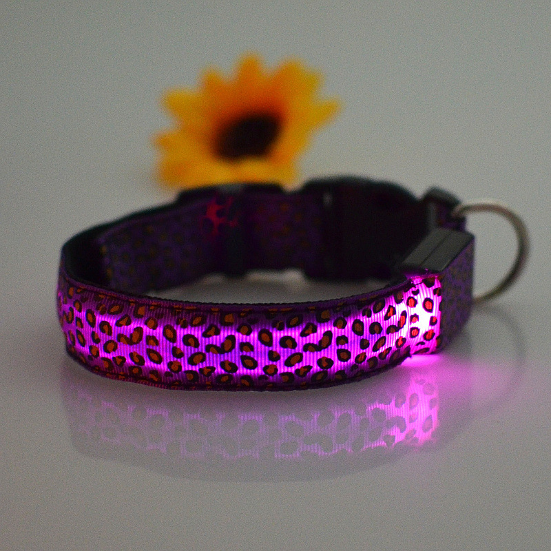 Purple LED Dog Collar Safety | Petra Shops