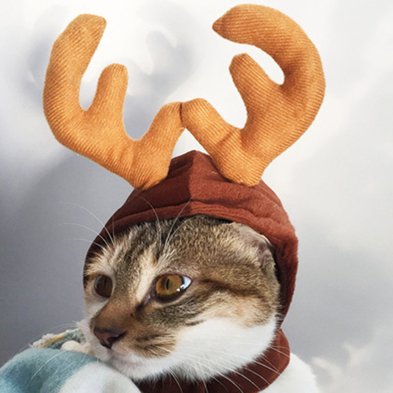 宠物头套装扮帽子犬可爱围巾狮子圣诞小型头饰通用猫咪秋冬衣服