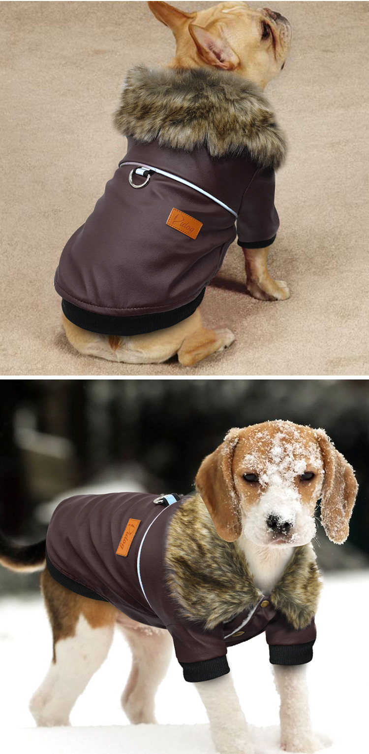 pet dog leather jacket