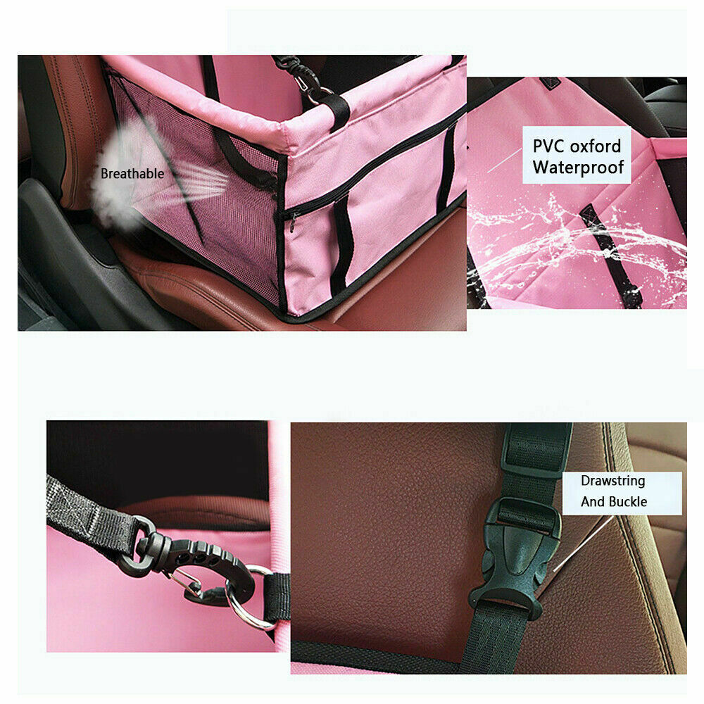 Pet Dog Carrier Car Seat | Petra Shops