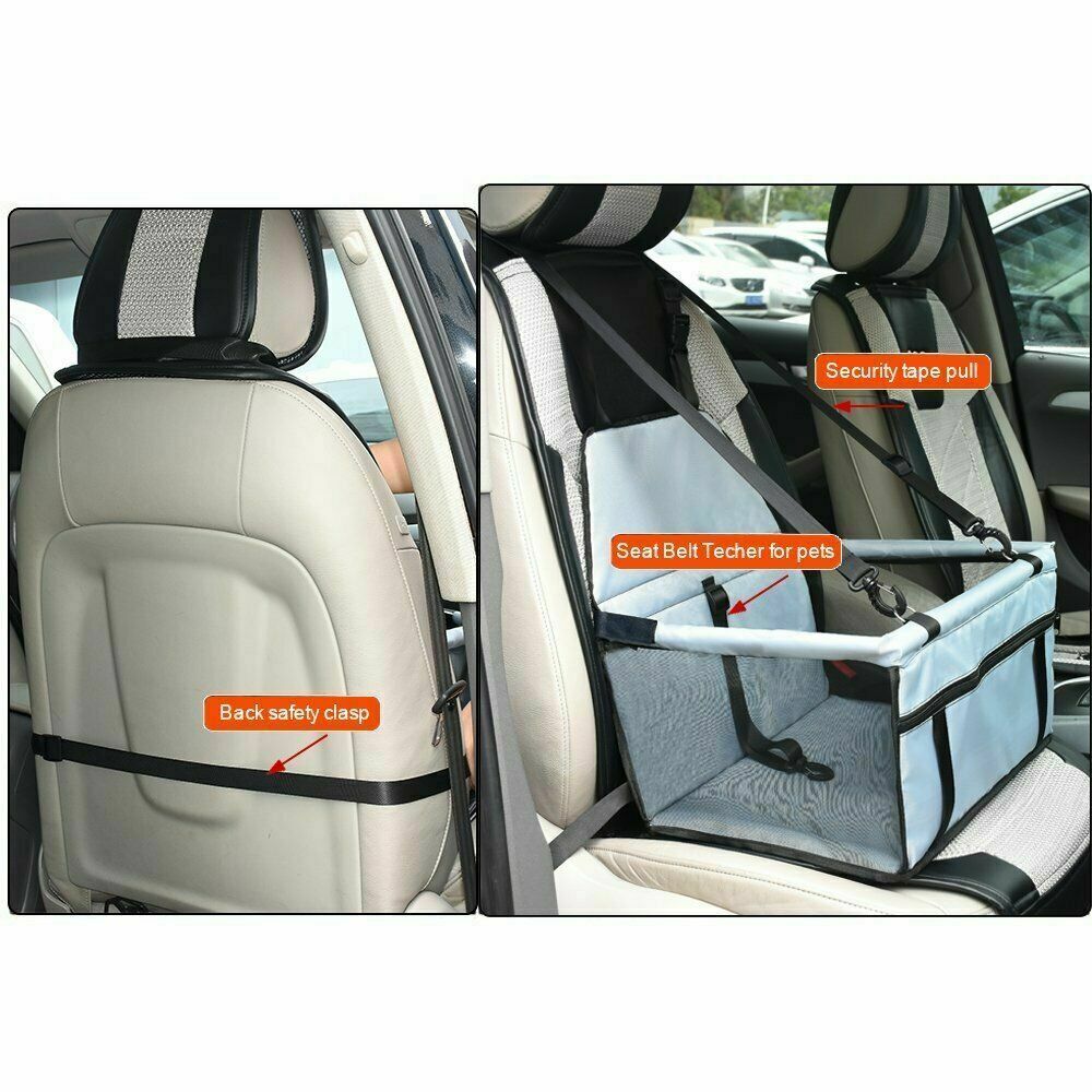 Pet Dog Carrier Car Seat | Petra Shops