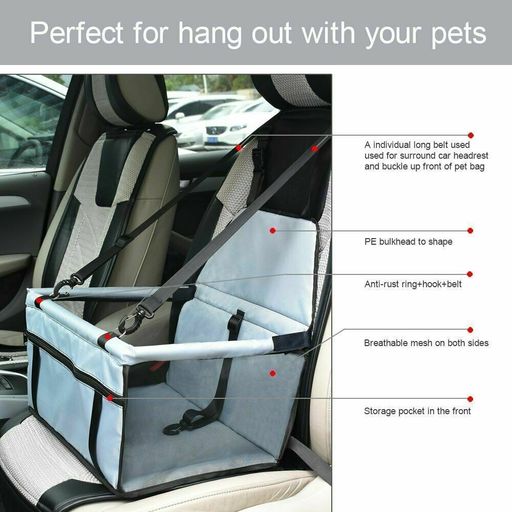 Pet Dog Carrier Car Seat | Petra Shops