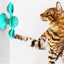 Cat fidget spinner windmill stuck on the wall and cat is playing with interactive toy