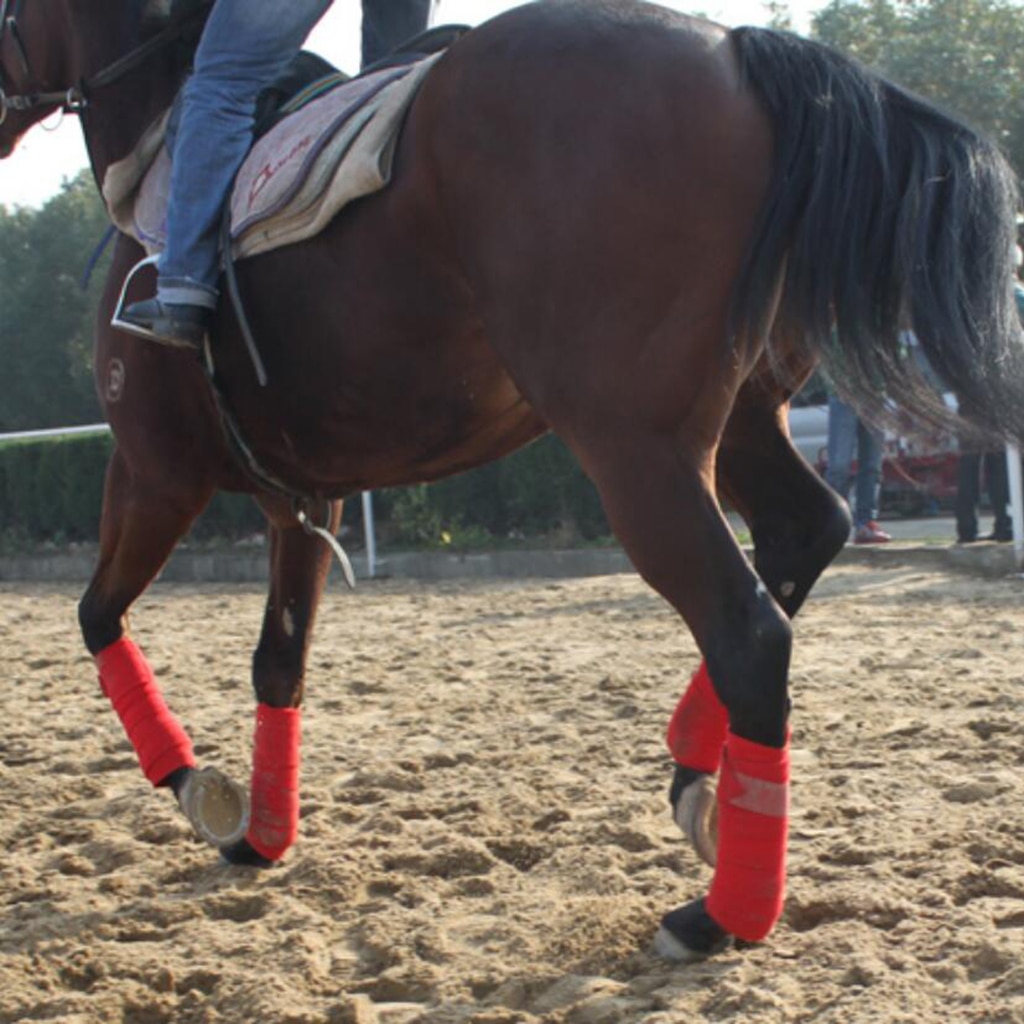 4pcs Soft Fleece Equestrian Leg Wraps Bandage For Horse Riding Racing