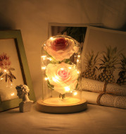 Romantic Immortal Flower Micro Landscape Rose Simulation Glass Shade Led Llight