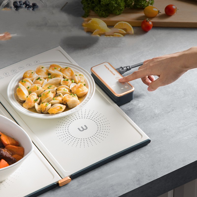 Folding Food Warming Board