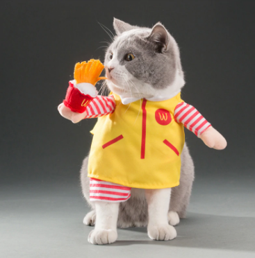 Pet Dress
