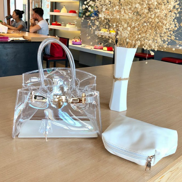 Transparent platinum handbag—2
