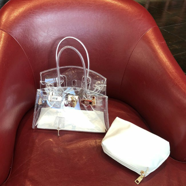 Transparent platinum handbag—6