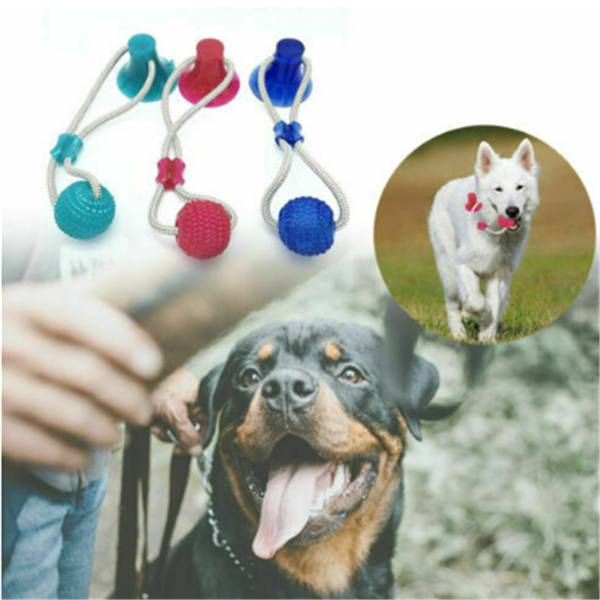 Dog Biting Sucker Multifunction Pet Molar Bite Toy - CJdropshipping