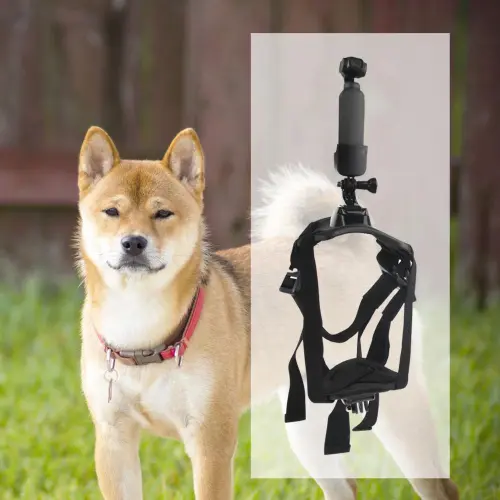 Pet puppy chest strap strap holder