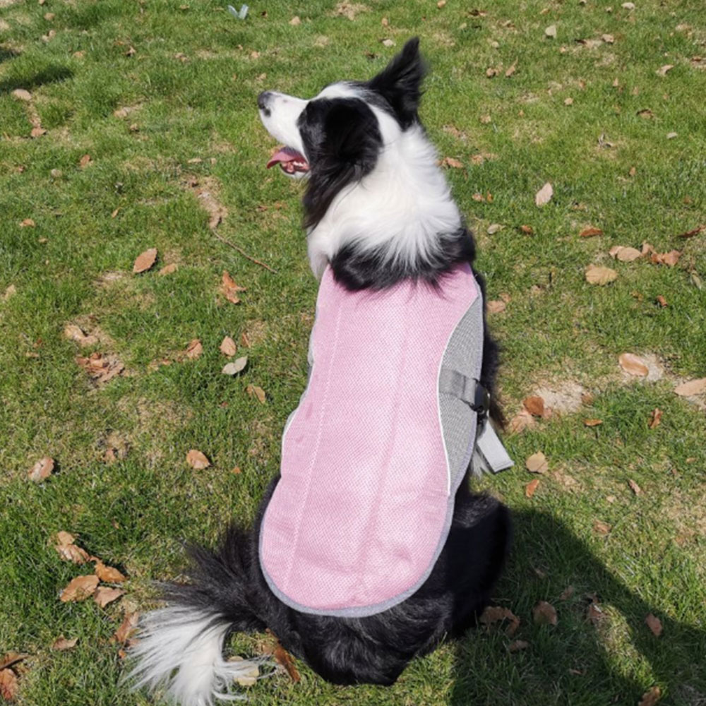 Adjustable Reflective Cooling Harness For Dogs