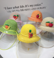 Kids Boys Girls Anti-spitting Protective Hat Dustproof Cover Fisherman Straw Cap Clear Saliva-proof Dust-proof Sun Visor Hat