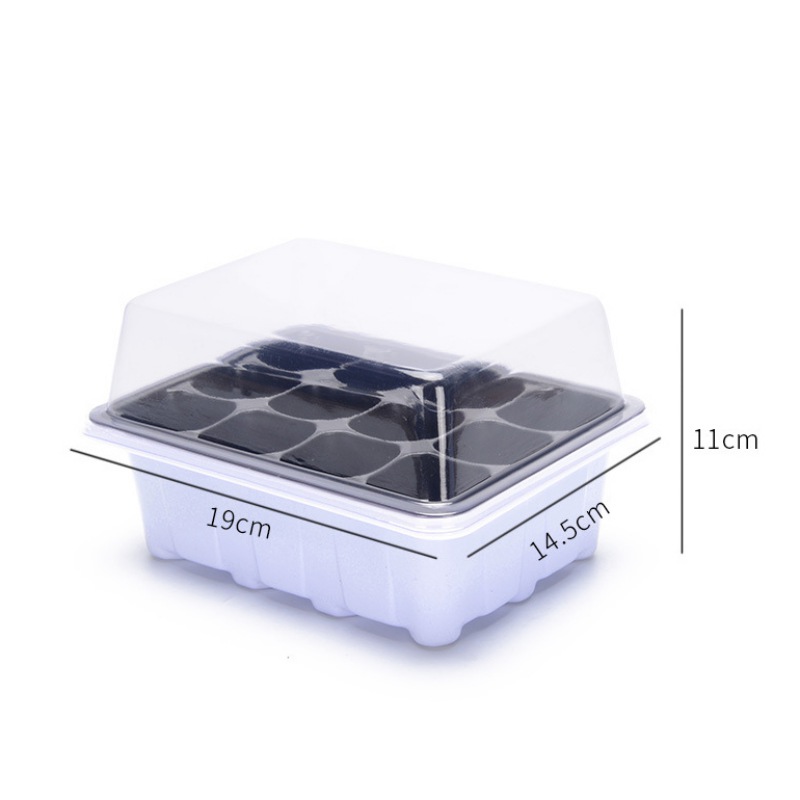 Seedling Tray Image 2