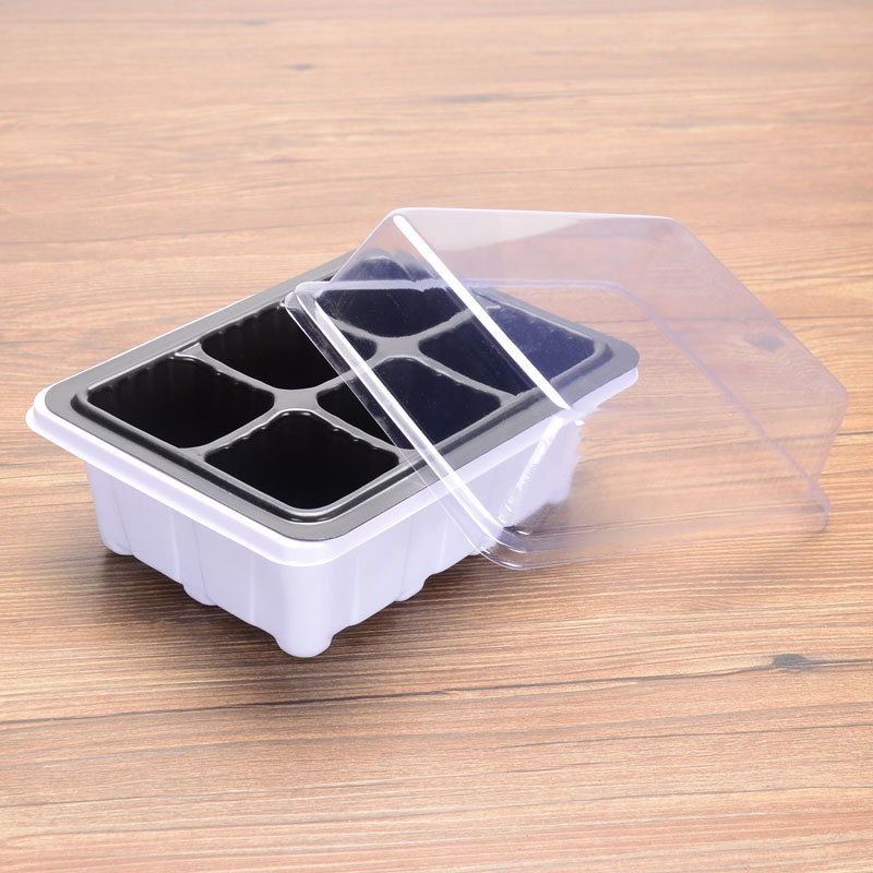 Seedling Tray Image 7