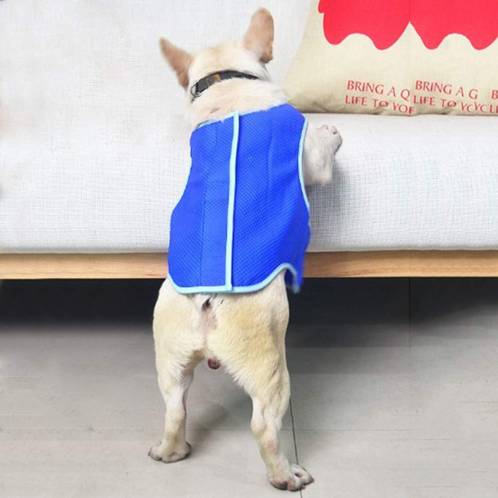 Dog cooling vest in usa