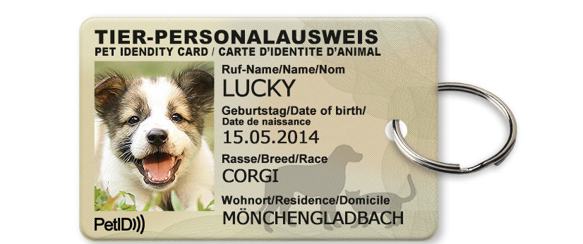What Is A Pet Id Card
