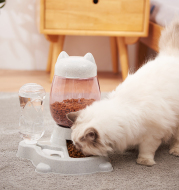 Pet Two-in-one Automatic Feeder