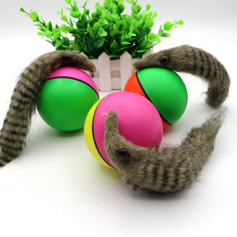 Electric Beaver Ball Water Cat Bath Play Water Toys - CJdropshipping
