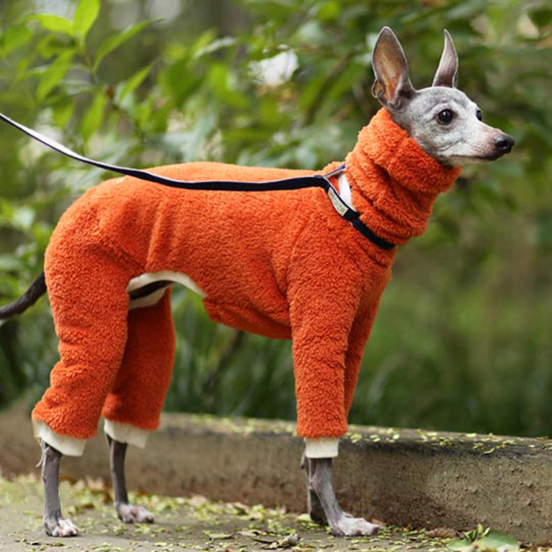 Warm and fashionable dog cotton clothes CJdropshipping