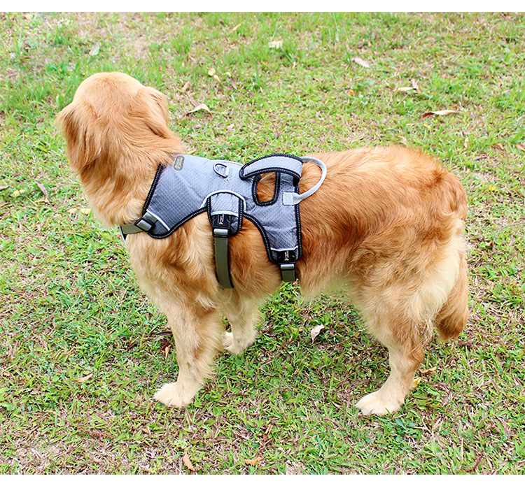 Medium sized large dog pet chest strap CJdropshipping