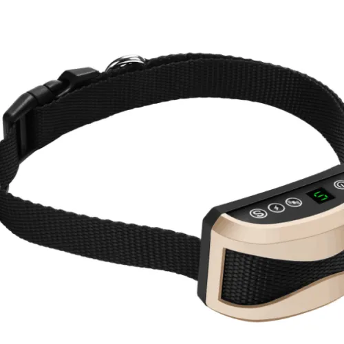Color: Gold - Collar with Beep Vibration Shock