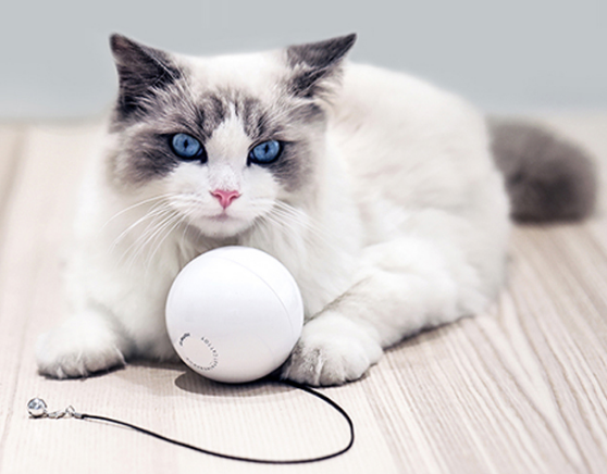 Automatic Interactive Cat Ball Toy