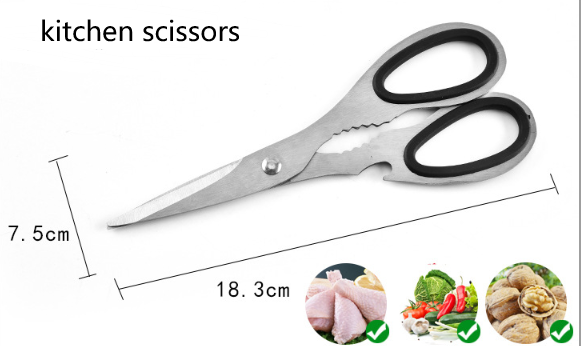 Knife Scissors | Petra Shops
