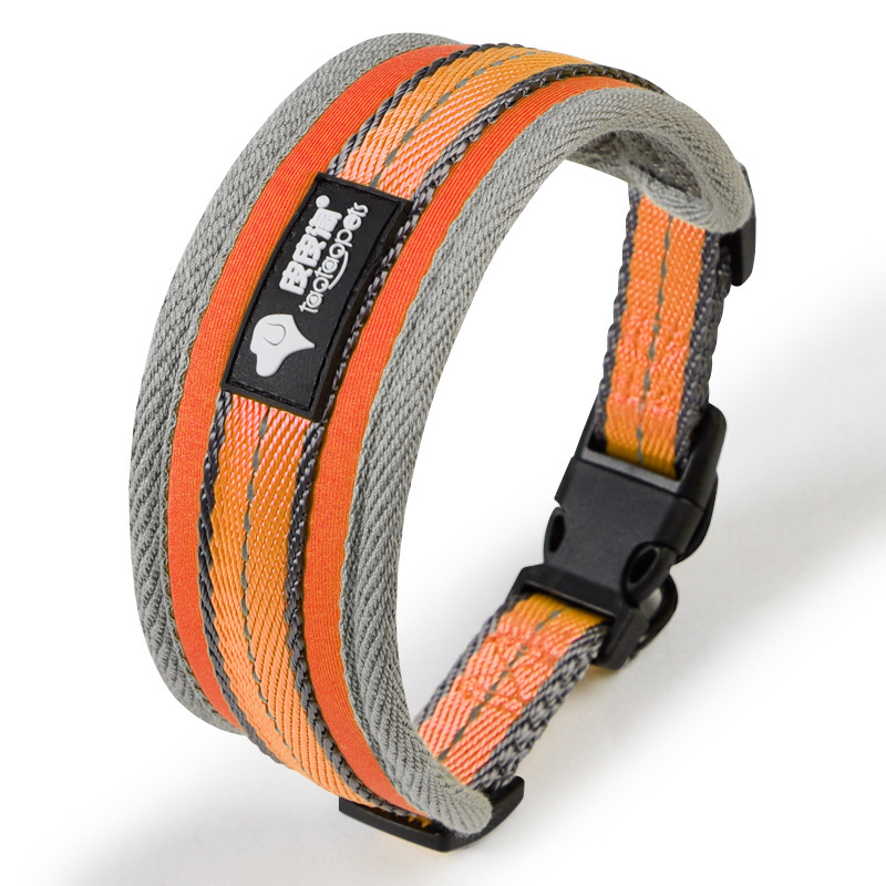 big padded dog collar